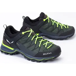 Salewa Herren MTN Trainer Lite GTX Schuhe (Größe 44.5, gruen)