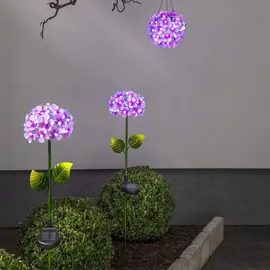 Star Trading LED-Solarstab"Hortensia" pink