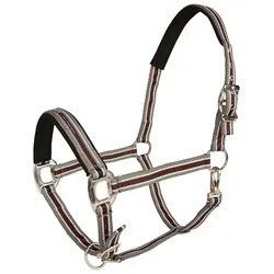 Equinate Halfter Oakley doppelt verstellbar mit Polsterung Warmblut Silber-Weinrot