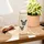 Cricut Explore 4 Essentials Bundle Schneideplotter Gestaltungsset Schnittbreite 29.7 cm
