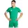 adidas Squadra 25 grün L