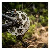 Shimano SM-RT70