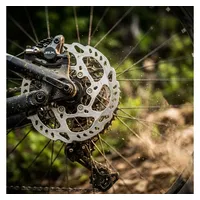 Shimano SM-RT70