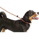 Kerbl Maxi Safe 170 cm x 12mm, neon orange (Hund), Leine