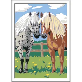 Ravensburger 28566 - Malen nach Zahlen, Glückliche Pferde