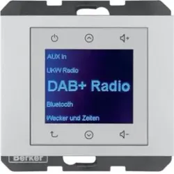 Berker 29847003 Radio DAB+, K.x alu