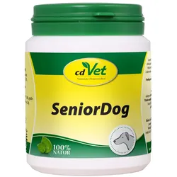 Senior Dog