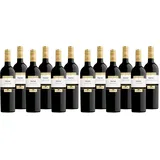 Merlot Trentino DOC "Mastri Vernacoli" Rotwein Trentin trocken (6 x 0.75l) (Packung mit 2)
