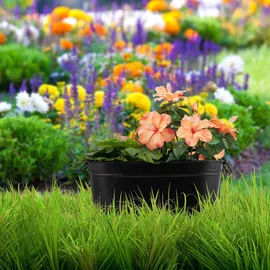 Relaxdays Blumenkasten 38 x 16 x 19 cm Schwarz