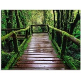 Artland Glasbild »Brückenpfad im Wald«, Asien, (1 St.), grün