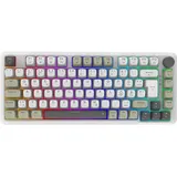 i̇nca IKG-455 Hot-Swap Gray Switches DE