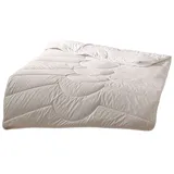 Traumschlaf Traumschlaf, Duvet, Schurwolle Nature (1625 g, 155 x 220 cm