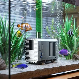 Wiltec SunSun CHJ-500-10 ECO Teichpumpe 500 l/h / 7 W, energiesparende Filterpumpe, Bachlaufpumpe für Koiteiche, Umwälzpumpe, Gartenteichpumpe