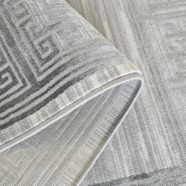 Sehrazat Teppich SEHRAZAT "Venus 7798", weiß (grau), B:200cm H:11mm L:300cm, Obermaterial: 60% Polyester, 40% Polypropylen, Teppiche, Teppich, Kurzflor, Orient Vintage Optik, mit Fransen, Wohnzimmer
