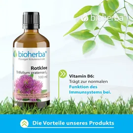 Bioherba Rotklee Trifolium pratense L. Tropfen Tinktur 50 ml