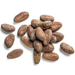 Kakaobohnen aus Peru - bio & roh (0.25kg)