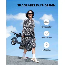 5thwheel E-Scooter 5th Wheel V30 Pro 350W 10 Zoll App Blinker Federung