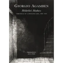 Seagull Books London Ltd Hölderlin's Madness: Chronicle of a Dwelling Life, 1806–1843 (The Italian List)