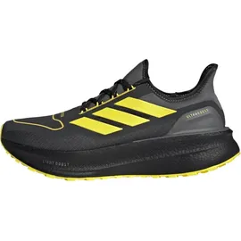 adidas Ultraboost 5 GTX Herren Carbon/Core Black/Grey Four 41