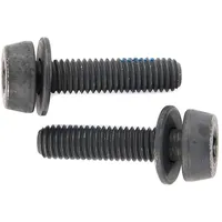 CAMPAGNOLO Schrauben H11 (Scheibenbr.) AC18-DBSC19.2x19mm f.10-14mm hinten