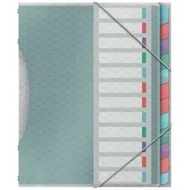 Esselte Ordnungsmappe Colour'Ice A4, PP 12 Fächer