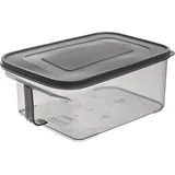 Orion Aufbewahrungsbox 2,6 l 1-tlg. grau