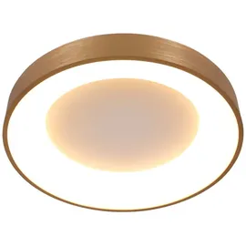 Steinhauer LED Deckenleuchte Ringlede - gold - Kunststoff Metall,