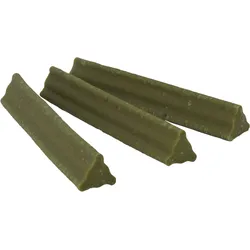 Zahnstocher Minze