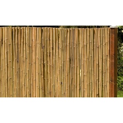 Bambusmatte 250 x 150 cm - Sichtschutzmatte für Balkon & Garten - Naturmaterial mit stabiler Drahtbindung - 2.5m x 1m - Bambus Sichtschutz Zaun