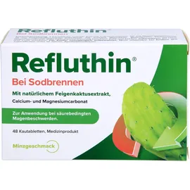 Dr. Willmar Schwabe Refluthin bei Sodbrennen Kautabletten Minze