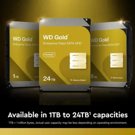Western Digital Gold 1 TB 3,5" WD1005FBYZ