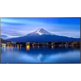 Sharp P656 65" 4K Ultra HD LED IPS Videowall TV