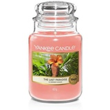 Yankee Candle The Last Paradise große Kerze 623 g