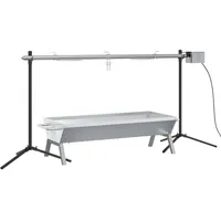 vidaXL Rotisserie-Grill Automatisch Edelstahl