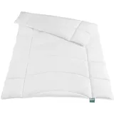 fan Duo-Steppbett Klima Active Plus, 155 x 220 cm