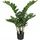 Gasper Creativ-green Kunstpflanze Zamiifolia, im Topf Höhe 70 cm