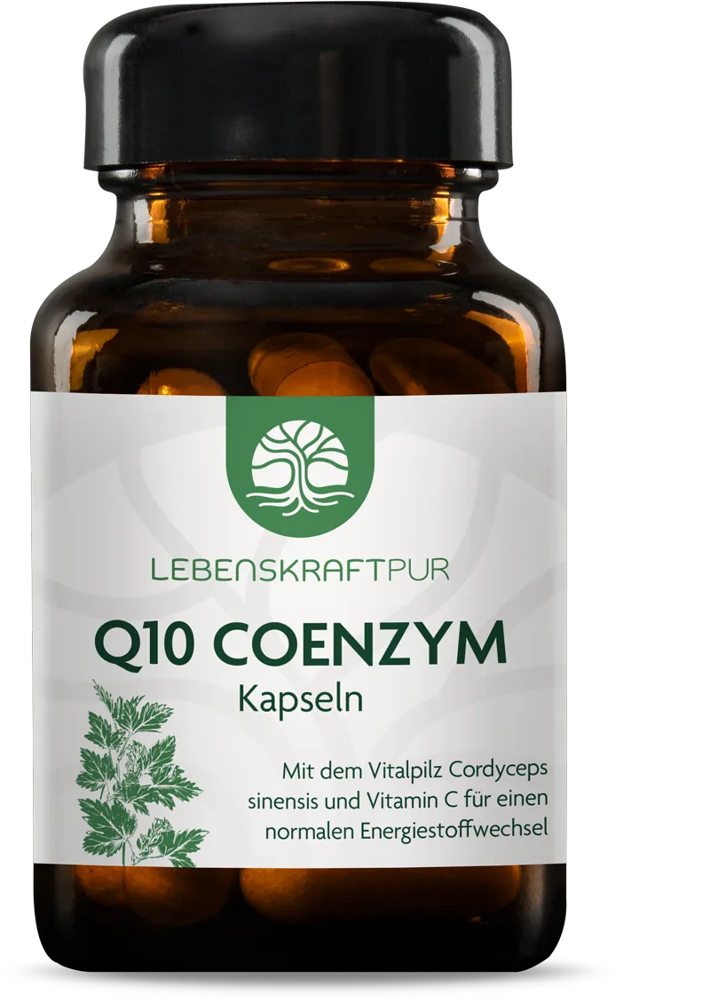 Q10 Coenzym Kapseln