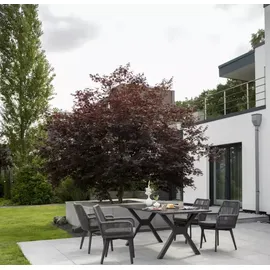 Mr. Deko Granada Gartentisch 200 x 90 x 76 cm Dark Grey