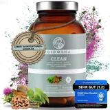 QIDOSHA CLEAN Leber Komplex Kapseln 120 St.