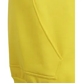 adidas Hoodie Mehrfarbig 176