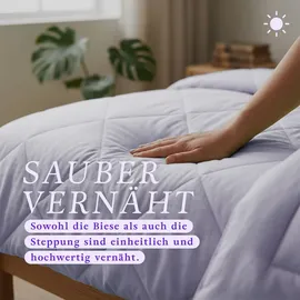 bc-agentur Bestlivings Bettdecke Flieder, leichtes Steppbett, Mikrofaser, atmungsaktiv, ohne Bettbezug nutzbar Wärmeklasse 2, auch ideal für Reisen, Camping - Lila