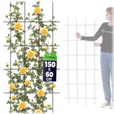Kadax Rankgitter 60 x 150 cm Schwarz