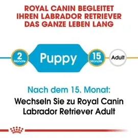 Royal Canin Labrador Retriever Junior 12 kg