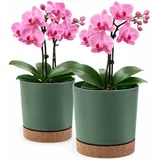 PECZEKO Blumentopf matt, Pflanzkübel aus Übertopf Kunststoff Dekorativer Topf für, groß und klein Pflanzen, 2er-Set blumenkübel, blumenkübel kräutertopf (2 Pack) Grün, ø 30 cm