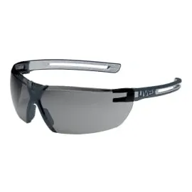 Uvex 9199277 Schutzbrille/Sicherheitsbrille Anthrazit, Grau