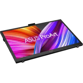 Asus ProArt PA169CDV 15,6" schwarz