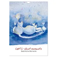 Calvendo CATS - silent moments, besinnliche Momente (Wandkalender 2026