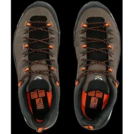 Salewa Alp Trainer 2 GTX Herren Bungee Cord/Black 46
