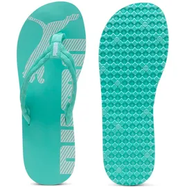 Puma EPIC FLIP V2 grün 48,5