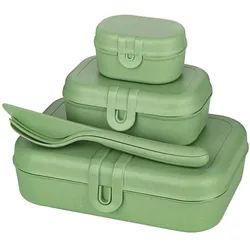 Koziol Lunchbox-Set inkl. Besteck Pascal Ready